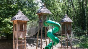 Een speeltuin met een groene glijbaan, houten speeltoestellen en een bosrijk landschap op de achtergrond.