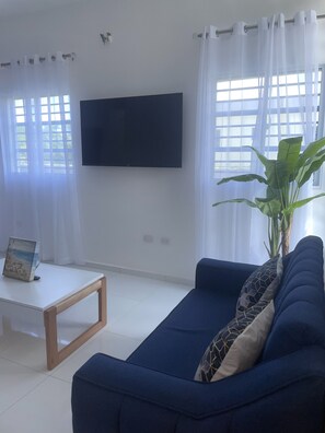 Fernseher