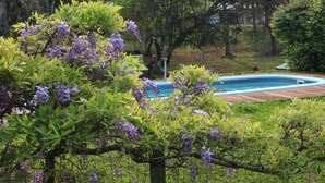 A tree with purple flowers in front of a swimming pool. - Hotel Pousada dos Plátanos (Nova Petropolis)