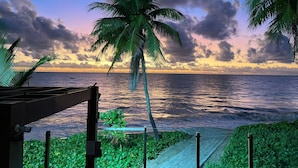 Blick auf einen Strand mit Palmen und einer Holzterrasse.