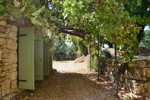 Een stenen muur met een houten poort, een pergola begroeid met wijnranken, en een grindpad dat naar een stenen muur leidt.