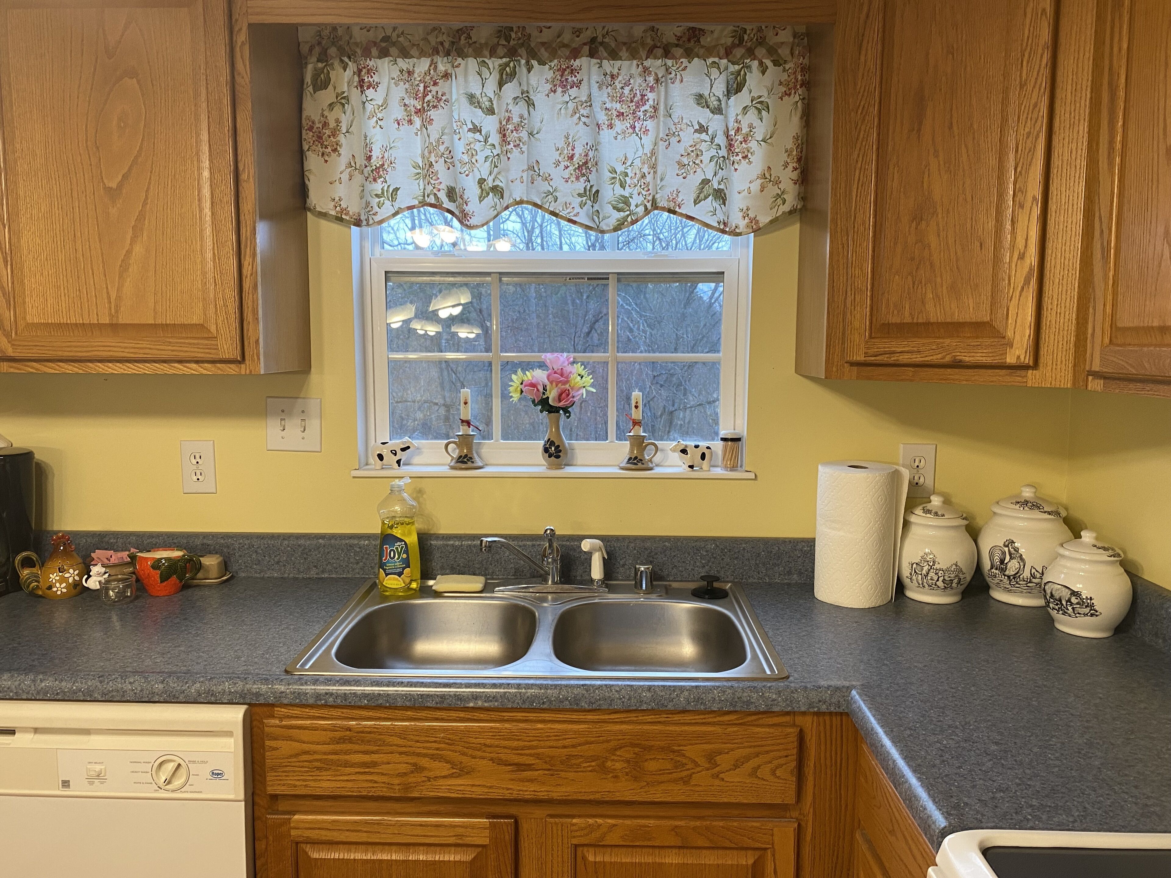 Flock Inn for Family Fun at the Ark and Creation Museum!