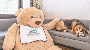 منطقة الاستقبال