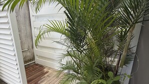 A small garden area with a palm tree and other greenery, a wooden deck, and a white gate.