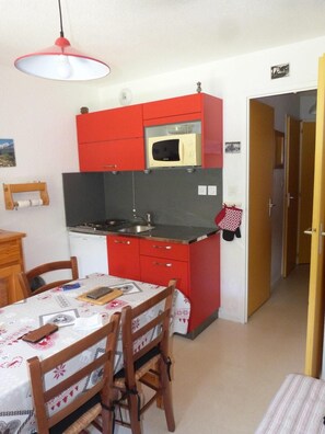Fridge, microwave - 1st floor, balcony, parking, 28m², Valloire (Valloire)