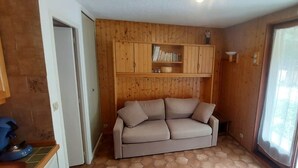 A room with a beige sofa, wooden panel walls, a bookshelf, and a window with curtains. - 350m from ski slopes, balcony, parking, tv, ski locker, 24m², Valloire (Valloire)