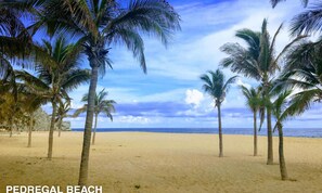 Relax on Pedregal Beach, surrounded by tall palm trees and expansive sandy shores.