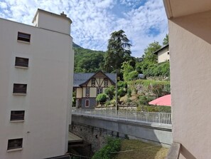 Vista desde la propiedad