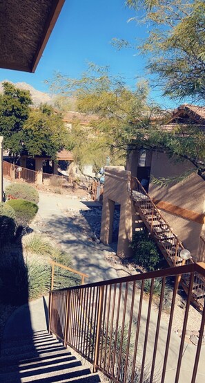 Terrain de l’hébergement 