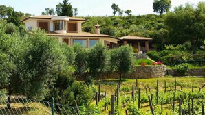 A two-story house with a tiled roof, surrounded by lush greenery and a vineyard. - VILLA UVA E STELLE in the quiet of the green hills (Itri)