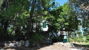 A stone staircase leading to a building with green shutters, surrounded by dense trees and a stone wall. - VILLA CORBEZZOLO between nature and the sea (Sperlonga)