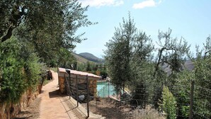 A pathway leading to a building with a red roof, surrounded by olive trees and a fenced area with a pool.