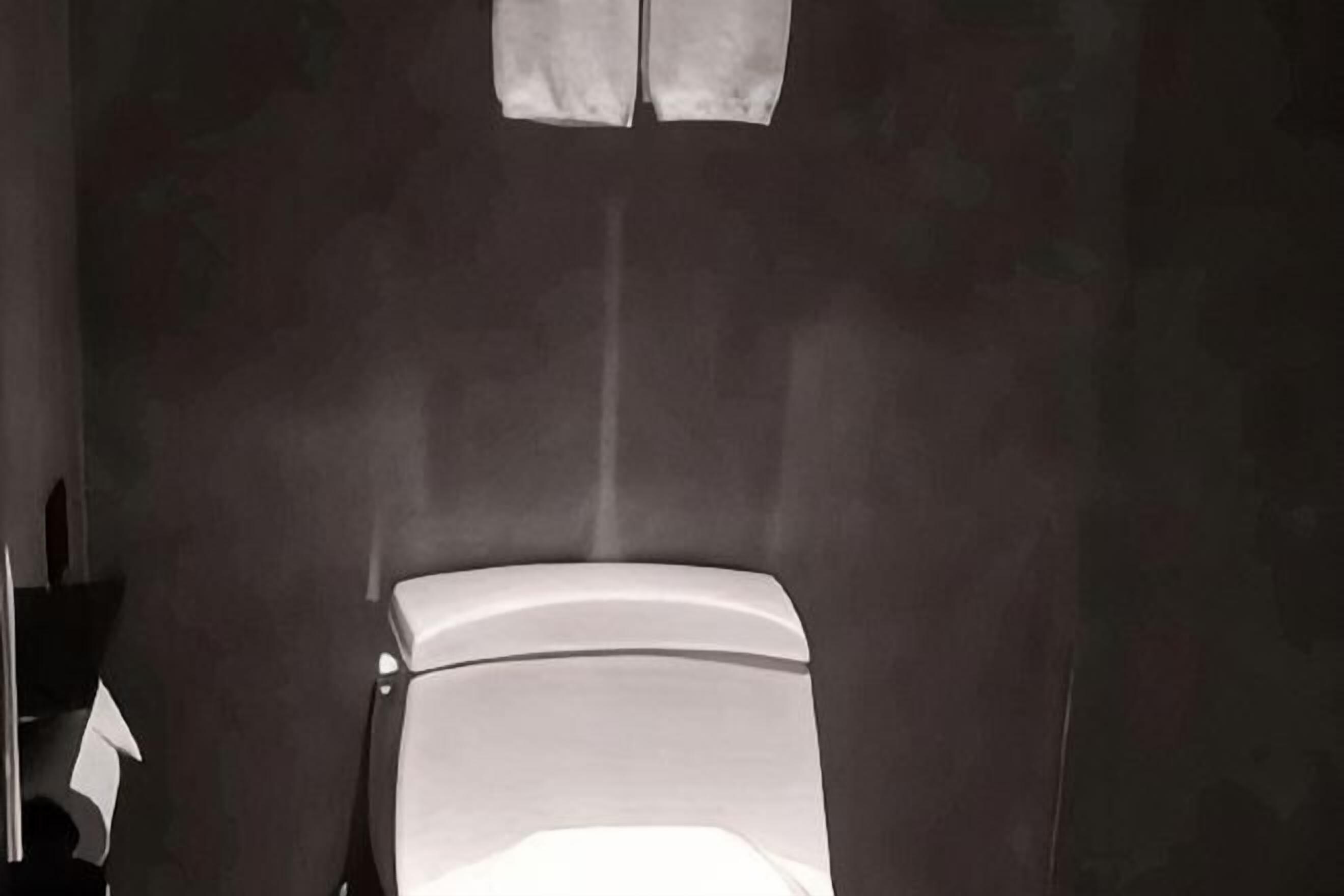 A bathroom with a toilet, a mirror, and a towel rack.