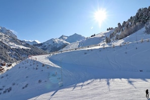 Sne- og skisport