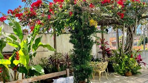 A wooden bench with blue cushions, a stone table, and a garden with red flowers and various plants. - Pousada Flor De Ponta Negra (Natal)