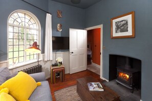 Télévision, cheminée, lecteur de DVD, livres