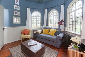 Télévision, cheminée, lecteur de DVD, livres