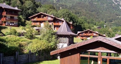 Floor -1, swimming pool, balcony, parking, tv, 32m², Les Houches