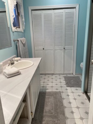 Shower, hair dryer, towels, toilet paper