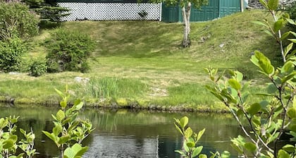 This Cabin Steps from the East Coast trail, fishing ponds and whale Watching!