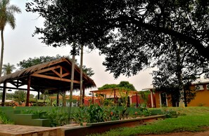 Terrain de l’hébergement 