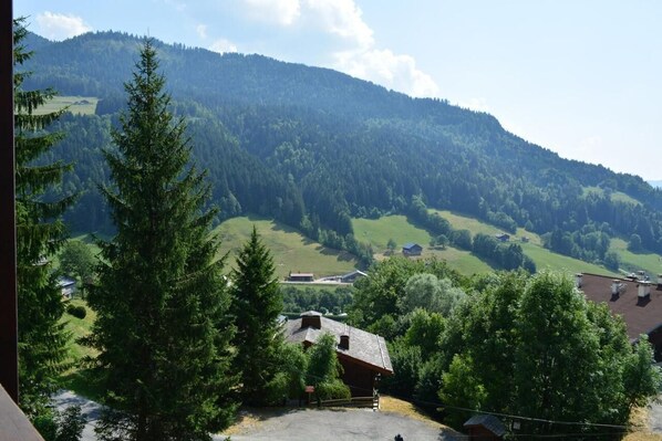 A mountainous landscape with a view of a valley, a forested area, and a few buildings.