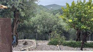Un espace extérieur clos, agrémenté d’arbres, d’un sentier en pierre et offrant une vue sur des collines lointaines.