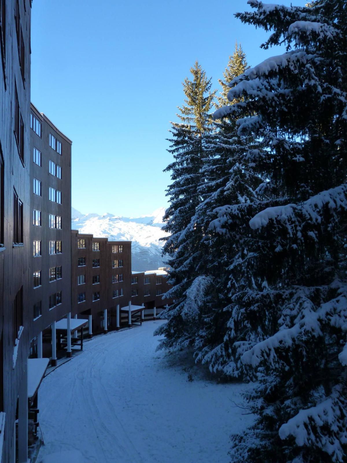 A snow-covered courtyard with buildings on one side and a snow-laden tree on the other.