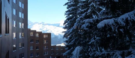 A snow-covered courtyard with buildings on one side and a snow-laden tree on the other.
