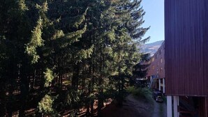 Un sendero bordeado por altos árboles que conduce a un edificio con fachada roja y una puerta de garaje visible.