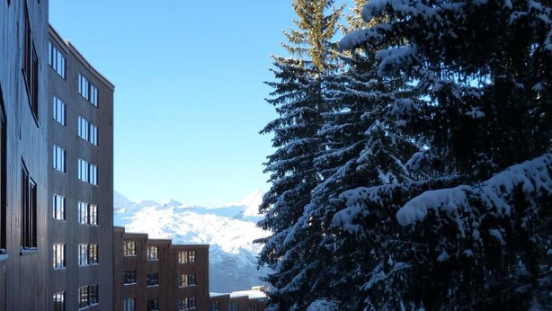Un patio cubierto de nieve con edificios a un lado y un árbol cargado de nieve al otro.