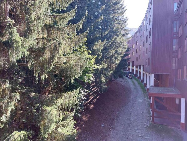 Stroll through the serene surroundings to a stylish building with windows and balconies.