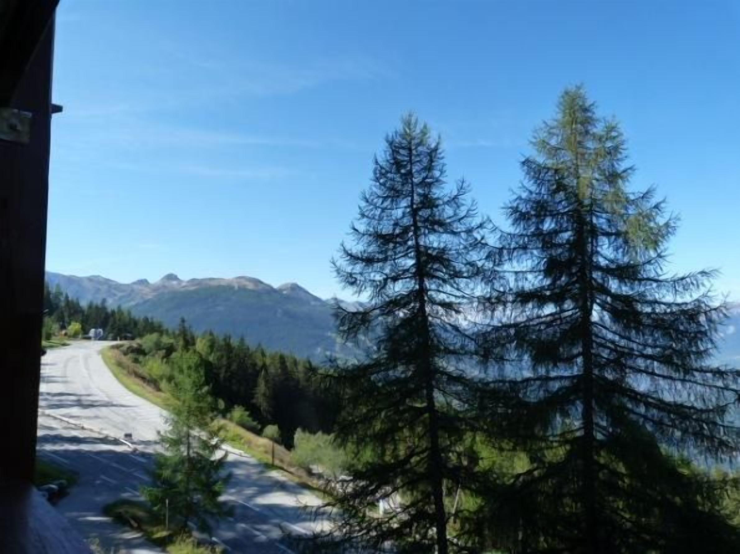 Una carretera con montañas al fondo, rodeada de un bosque denso.