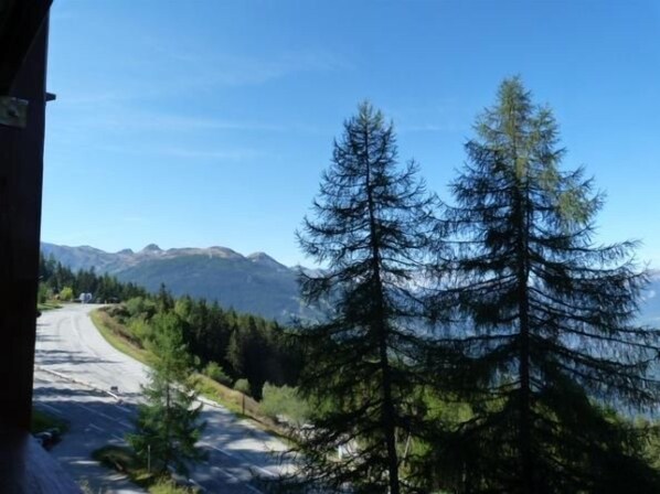 A road with a mountain backdrop, surrounded by dense forest.