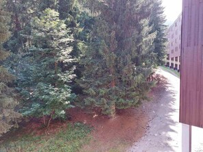 A pathway flanked by dense evergreen trees, leading to a building with a red exterior. - 8th floor, view firs, tv, 13m², Les Arcs (Les Arcs)