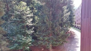 A pathway flanked by dense evergreen trees, leading to a building with a red exterior. - 8th floor, view firs, tv, 13m², Les Arcs (Les Arcs)