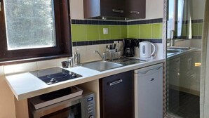 A compact kitchen with a stove, sink, and dishwasher. - 8th floor, view firs, tv, 13m², Les Arcs (Les Arcs)