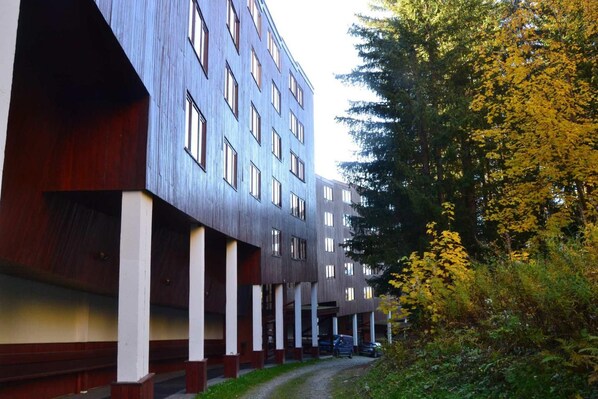 A modern building with a series of windows and a covered walkway.