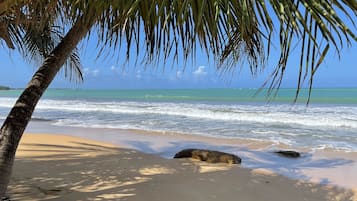 In Strandnähe, Liegestühle, Strandtücher