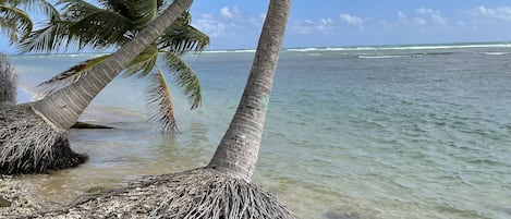 Beach nearby, sun-loungers, beach towels