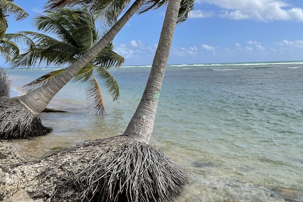 Una playa cerca, sillas reclinables de playa, toallas de playa