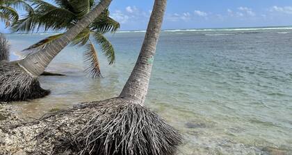 Steps from the Beach - Quiet Condo