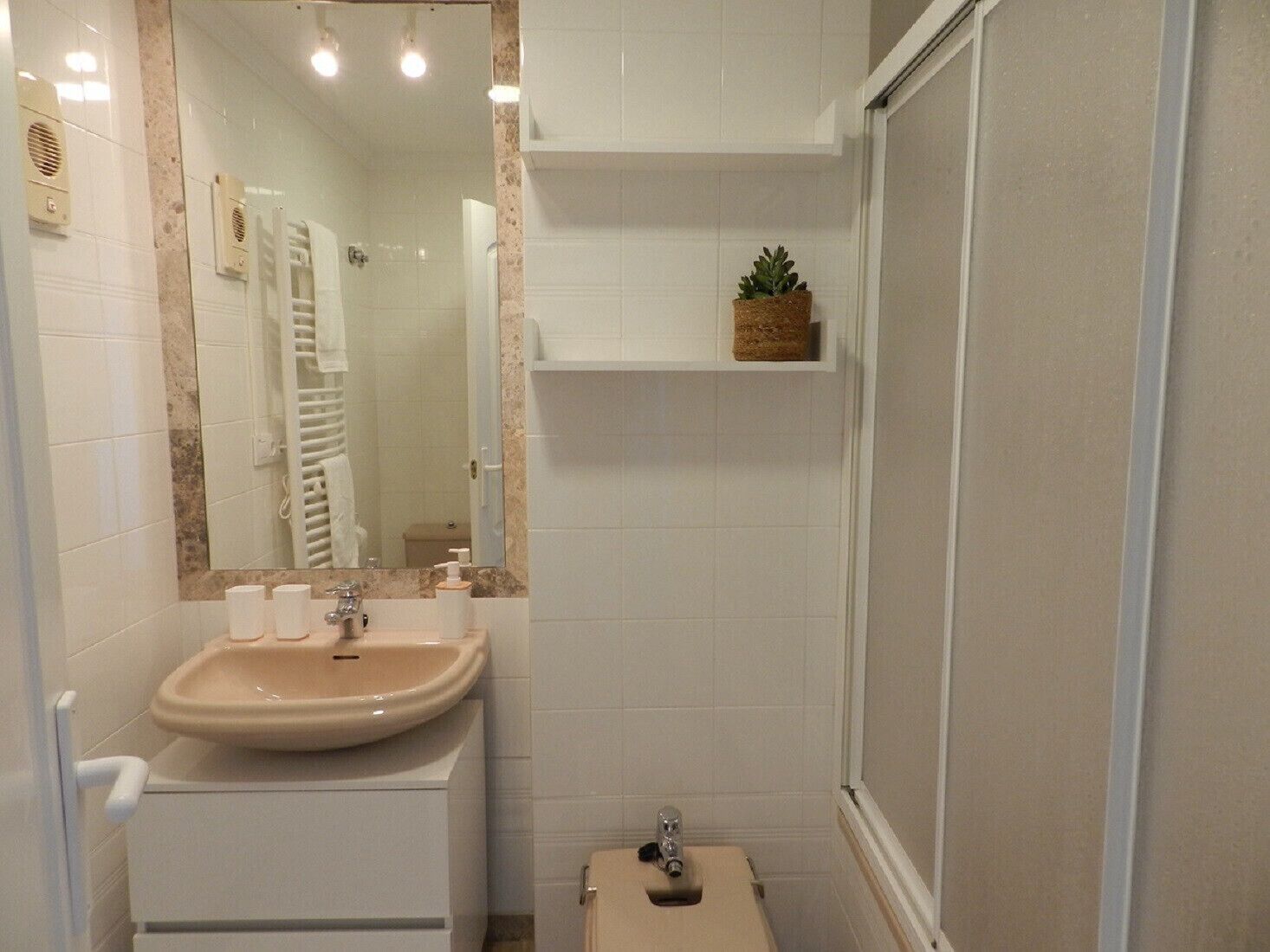 A bathroom with a sink, mirror, towel rack, shower, and a small plant on a shelf.