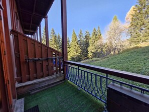 A wooden balcony with a blue railing overlooking a grassy area and trees.