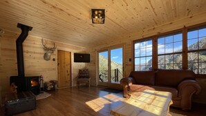 A cozy cabin interior with a fireplace, wooden walls, a leather sofa, and large windows offering a view of the outdoors. - Storybook Cabin - Private Stream, Incredible Canyon View, Starlink Internet (Bellvue)