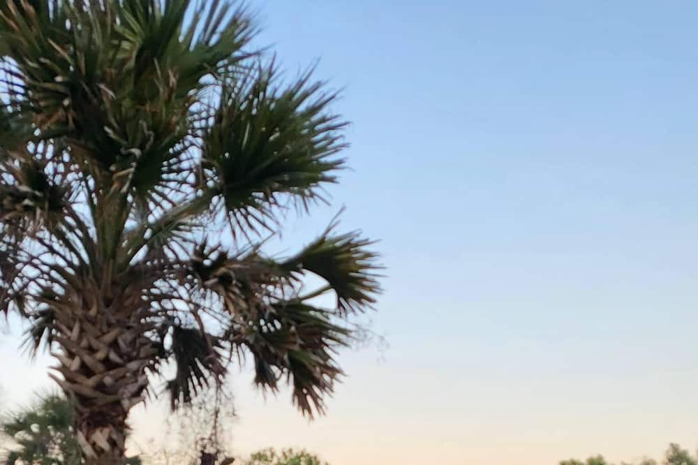 Palm Coast Condo