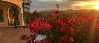 Ideal to spend a holiday in a peaceful spacious setting with privacy