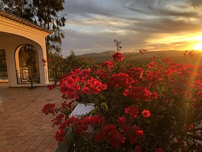 Villa Metacasa by Portucasa