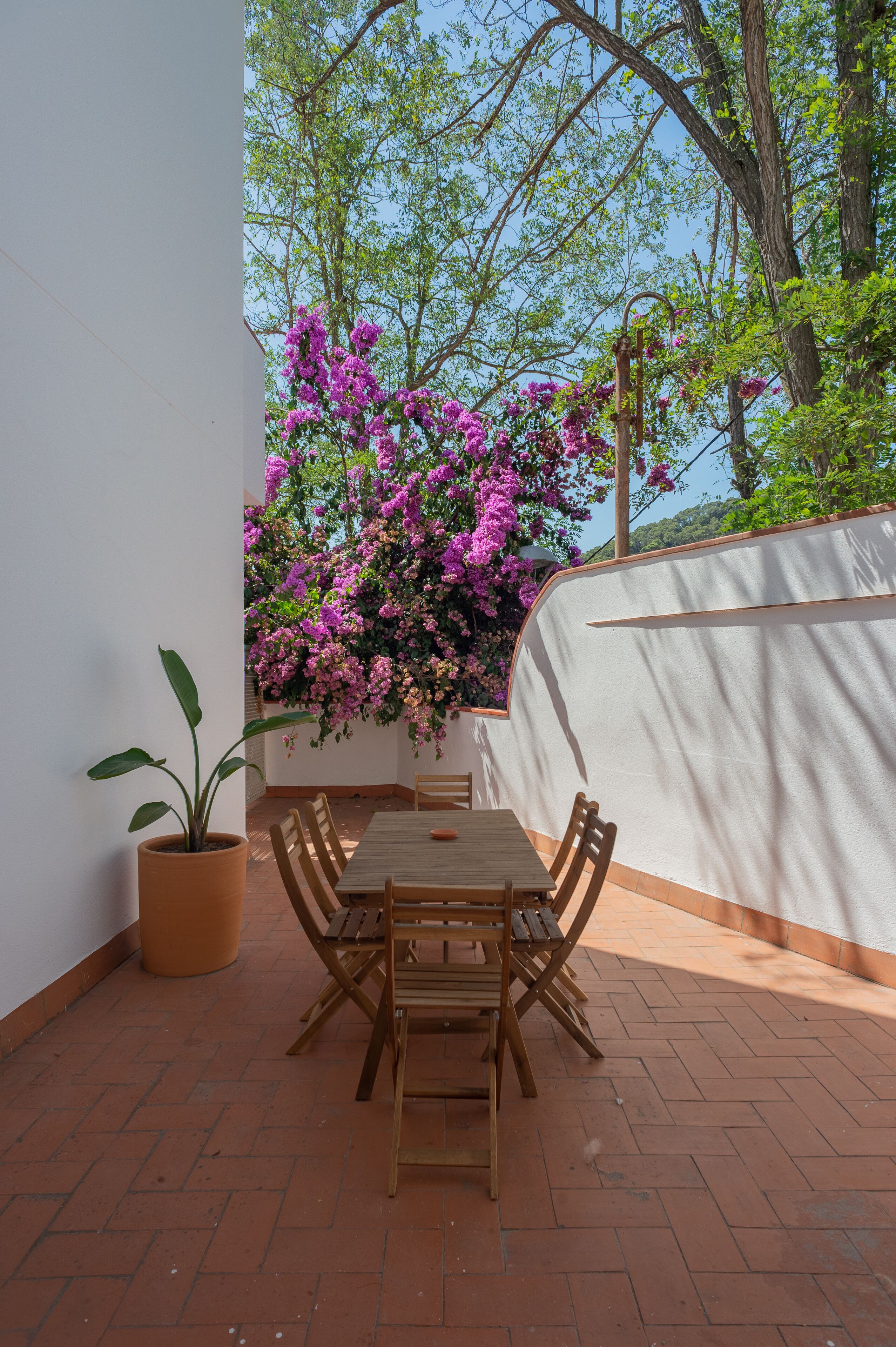 Une terrasse extérieure avec une table et des chaises en bois, entourée d’un mur blanc et agrémentée d’une plante en pot.