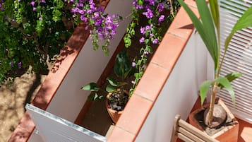 Double or Twin Room, Terrace | Terrace/patio